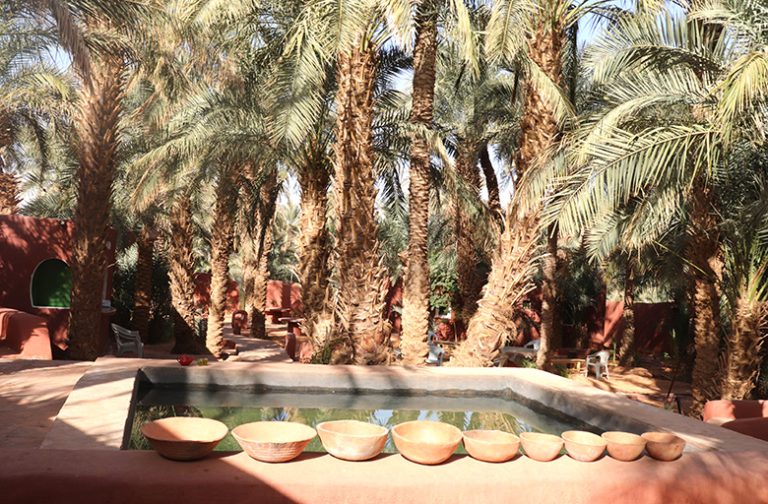 Le-Jardin-4