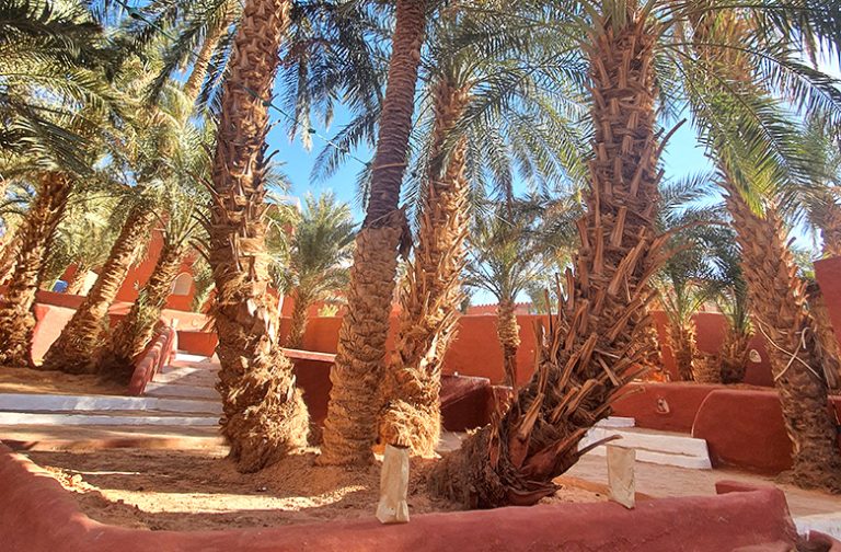 Le-Jardin-8