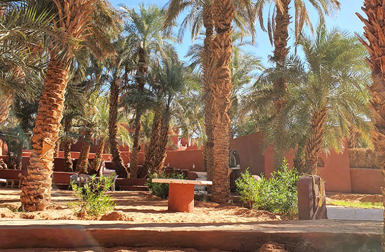 Le-Jardin-9